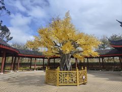 -广东圆玄道观