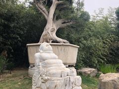 -中国唐苑