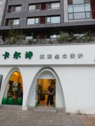 -卡尔诗·科技美肤连锁