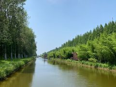 -黄海国家森林公园