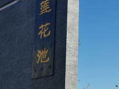 -莲花池公园