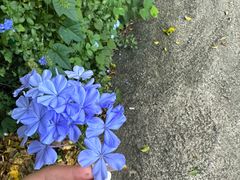 -傣泐金湾餐厅