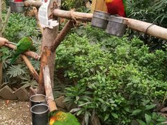 -南宫五洲植物乐园