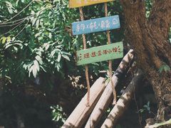 -小洲村