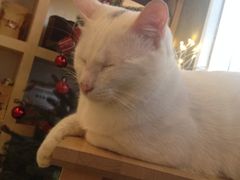 iphone_upload_pic-MIKAKU(万达广场上海宝山店)