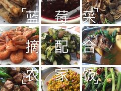 -金石滩蓝莓谷庄园