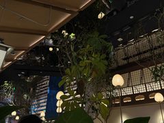 -桂满陇·海市蜃楼·黑金(国金店)