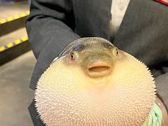 -永安鱼庄·镇江菜(东吴路店)