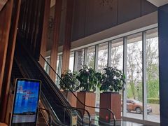 -长春凯悦酒店-品悦中餐厅