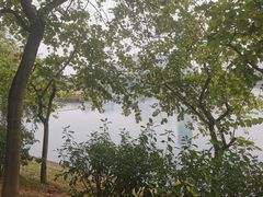 -南宁南湖公园