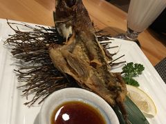 -菊上尊品料理(蚌埠银泰店)