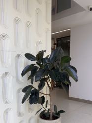 -魔型社烫染店