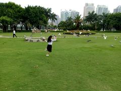 -白鹭洲公园