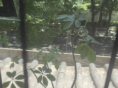 -王府茶楼茶宴·创意菜(大观园总店)