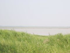 -湖南东洞庭湖国家级自然保护区