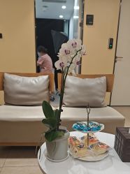 -Yestar宁波艺星整形医院