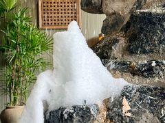 -雨后行菜(报慈北路店)