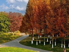 -白鹭湾湿地公园