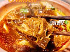 -望蝎门羊蝎子火锅(祭城店)