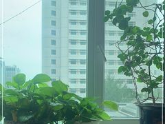 -中国人民解放军空军特色医学中心(空军总医院)
