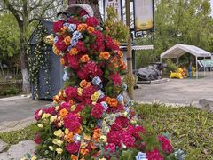 -梁鸿国家湿地公园