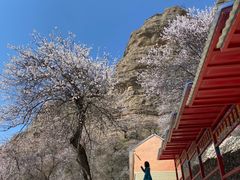 -中华福寿山
