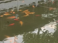 -龚家花园农家乐休闲别墅