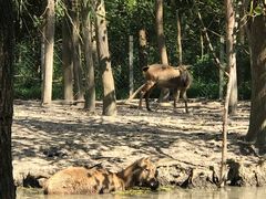 -溱湖国家湿地公园