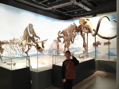-辽宁古生物博物馆