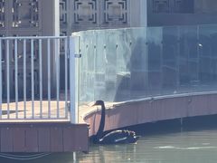 -春晖园度假酒店温泉