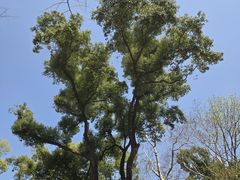 -湖南省立第一师范学校旧址