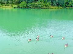 -广州白江湖森林公园