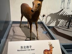 -大庆市博物馆