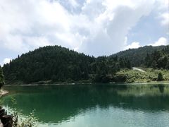 -武陵山森林公园