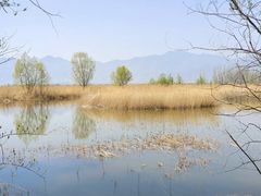 -野鸭湖国家湿地公园