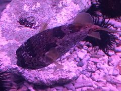 -多彩贵州城极地海洋世界