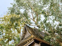 -中国科学院西双版纳热带植物园