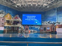 -西安曲江海洋极地公园