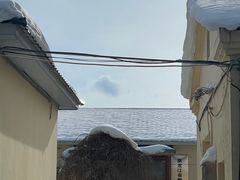 -横道河子东北虎林园