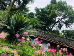 -峨眉山报国寺