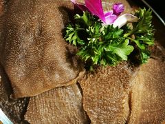 -东道煮牛肉火锅(东盛大街店)