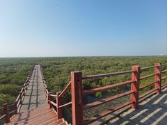 -北海金海湾红树林生态旅游区