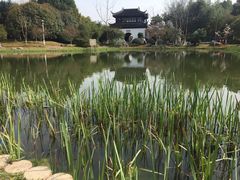 -花溪公园