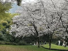 -中国茶叶博物馆(双峰馆区)