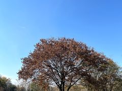 -宜兴龙背山森林公园