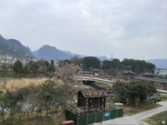 -印象鲵宴·张家界地标美食名片(溪布街店)