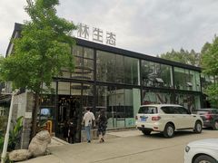 -桉树林A coffee 森林餐厅(三圣乡店)