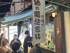 -猫的魔法密林(衣裳街店)