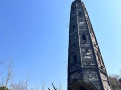 -上海佘山国家森林公园天马山园