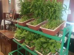 -天和晟新京菜.水煮鱼.湘土菜(国展店)